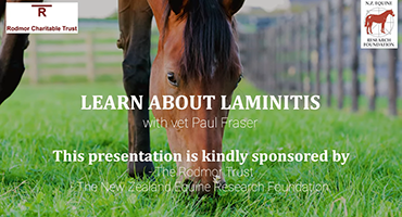 Laminitis educational video