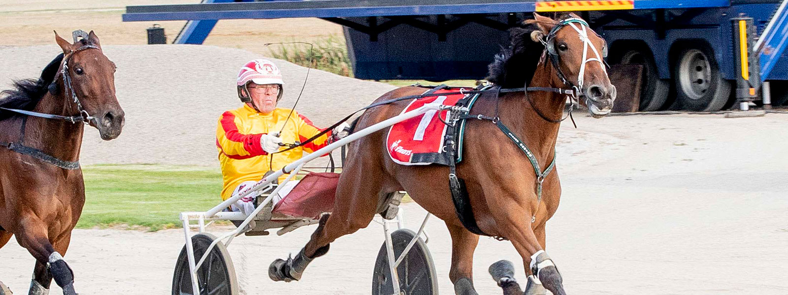 Swapsies for two Lilley-trained trotters